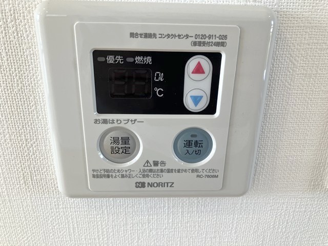 ルポ・ルアナ その他7
