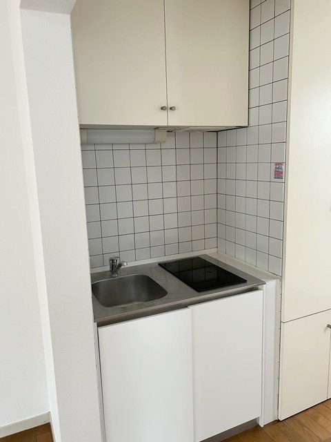 野沢ガーデン キッチン