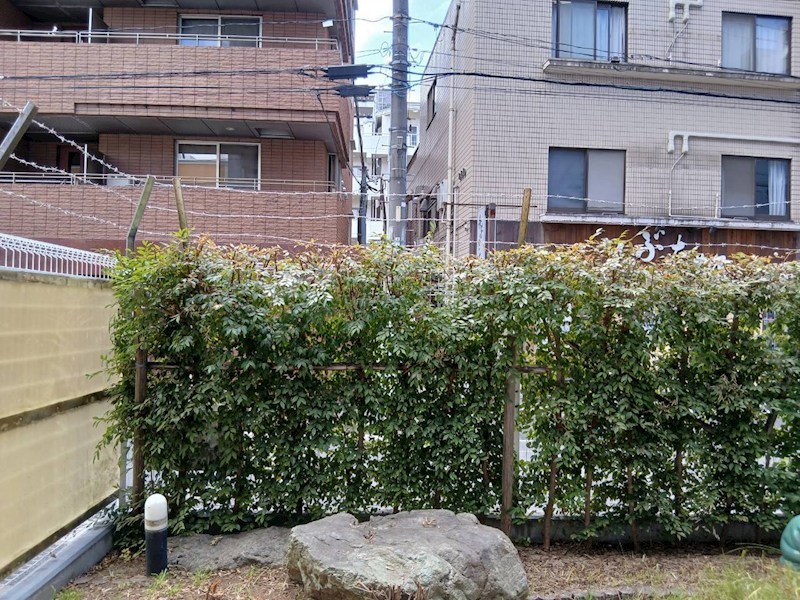 その他7