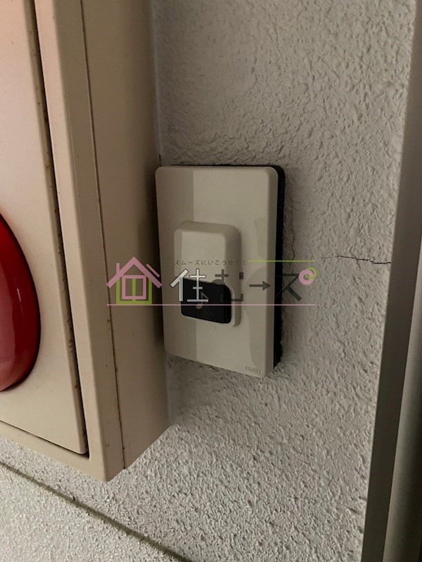 PANSHON　CLEAR その他3