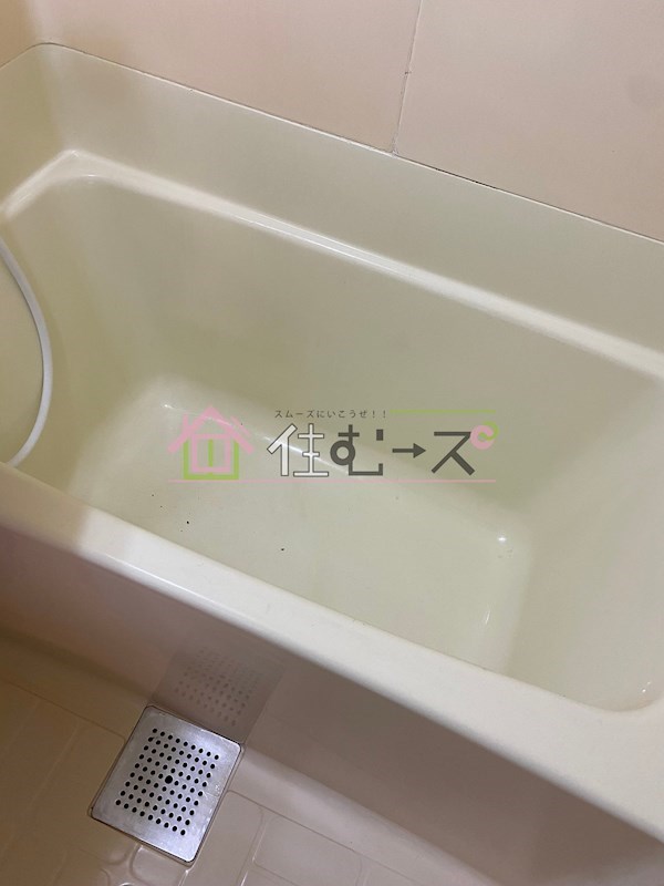 大宝　島之内ロイヤルハイツ 風呂画像