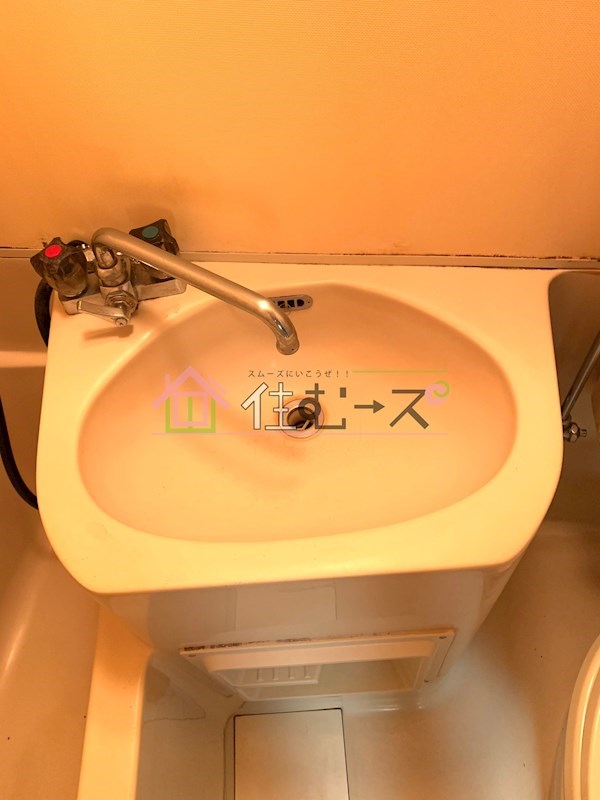 コバルト平野西 その他6