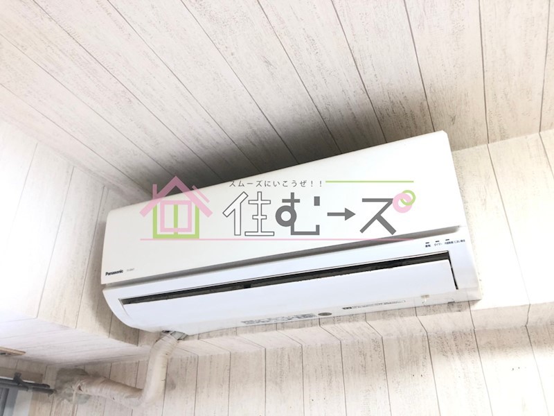 パンジービオラ春日出 その他4