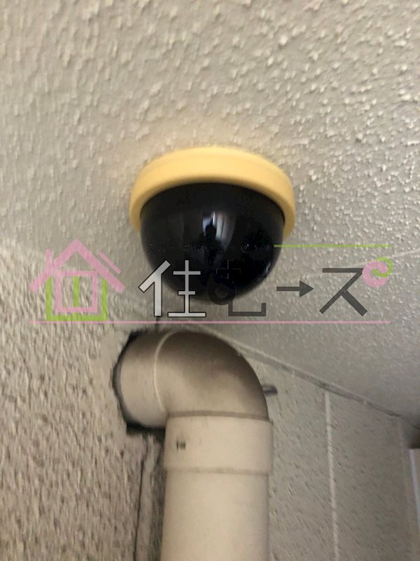 プラディオ放出 その他外観3