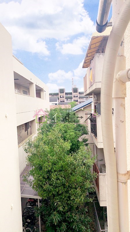 PAL山之内 その他4