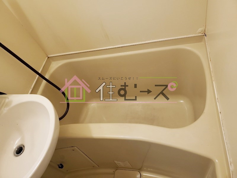 ホワイトイン 風呂画像