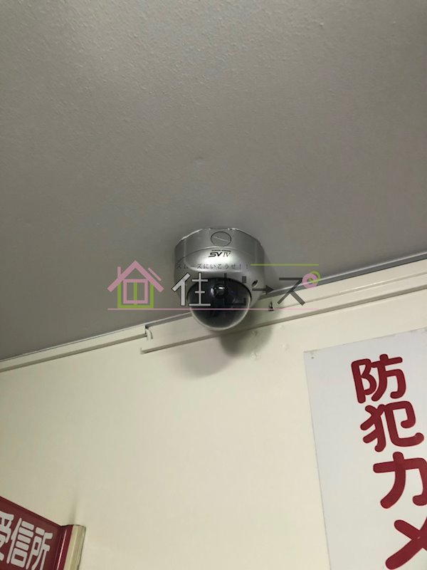 ピア土江PARTⅡ その他外観3