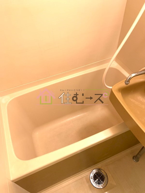 ロジーパレス平野 風呂画像