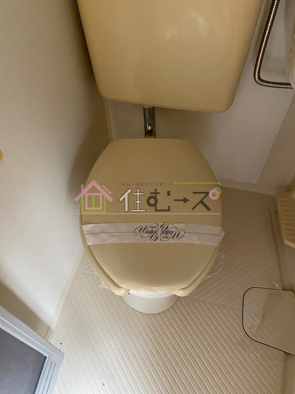 ディノ玉出 その他3