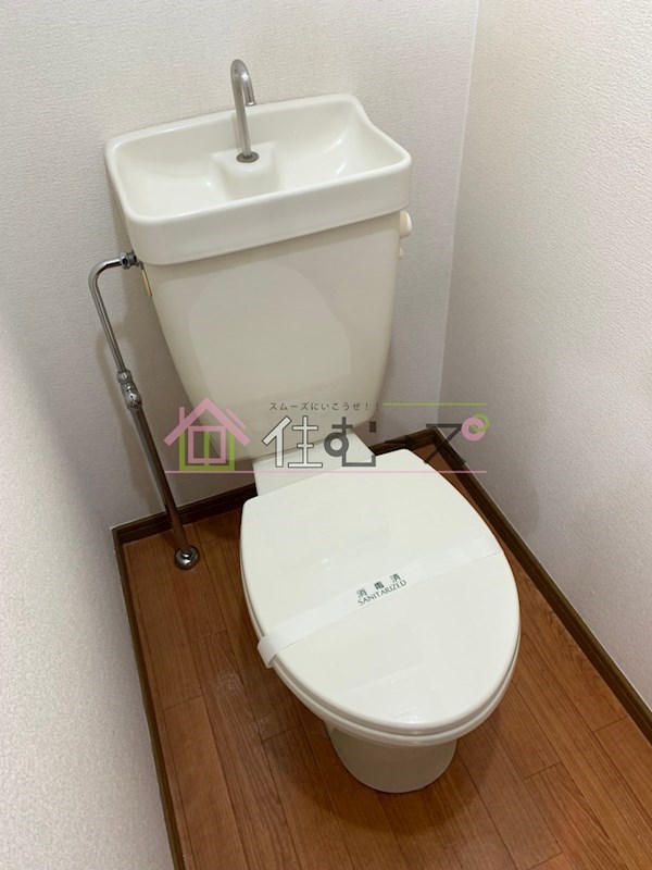 ホワイトグロリア その他3