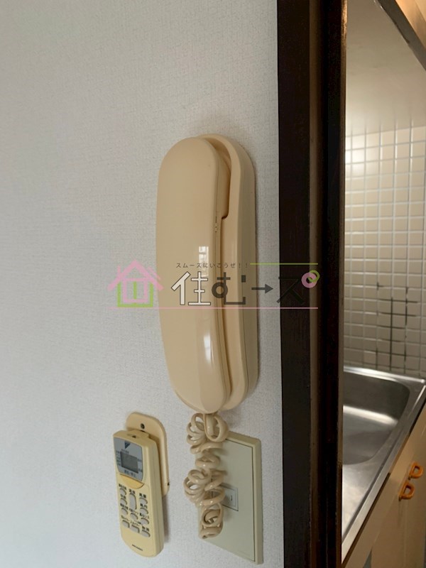 ホワイトグロリア その他4