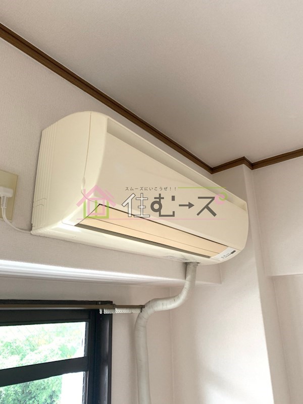 ホワイトグロリア その他6