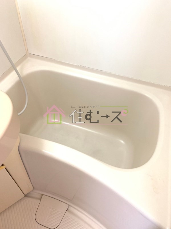 ビクトリーハイムニシミツ 風呂画像