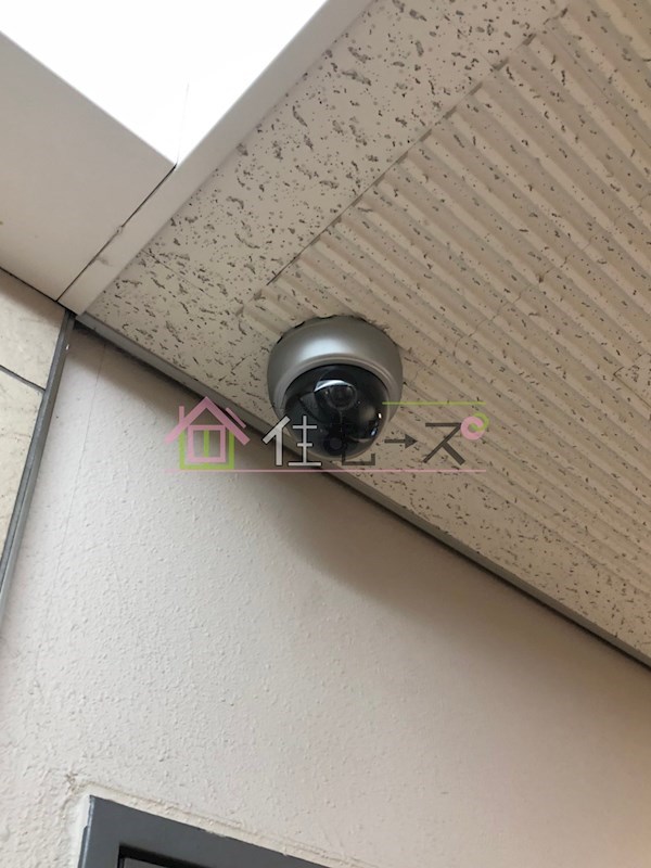 木川東エクセルハイツ その他外観3