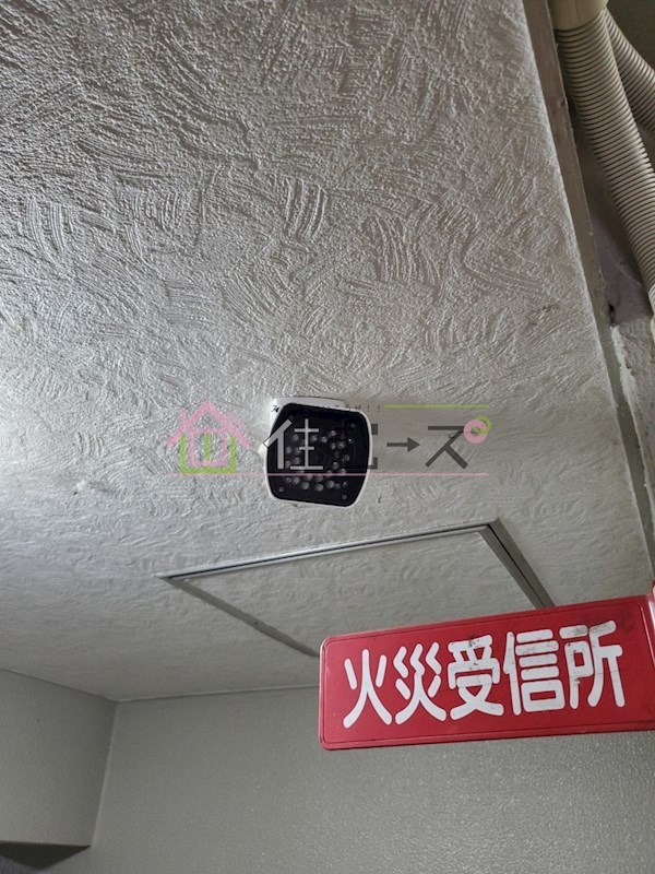 メゾン城東 その他外観3