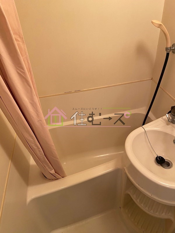 PALMIZIO平野西Ⅲ  風呂画像