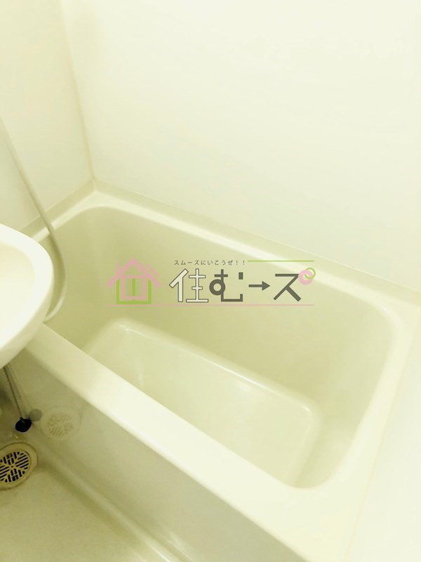 エルミタージュ難波南Ⅴ 風呂画像