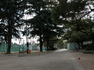 ピーチヴィラ 周辺画像10