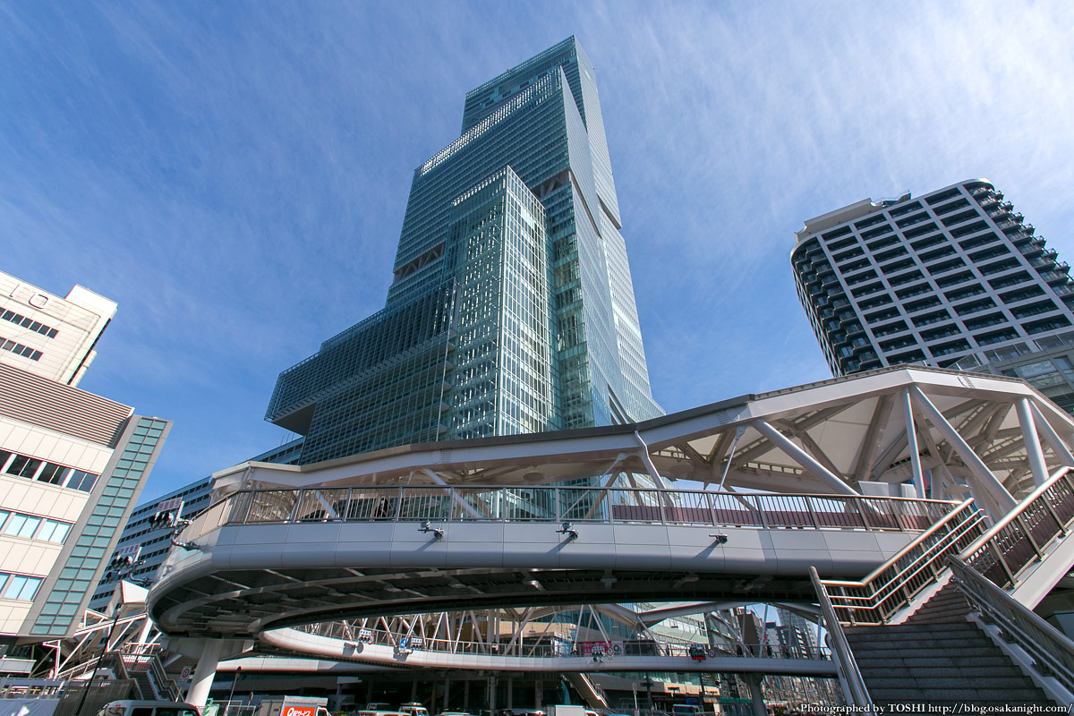 ラッキーセンター河堀口マンション 周辺画像8