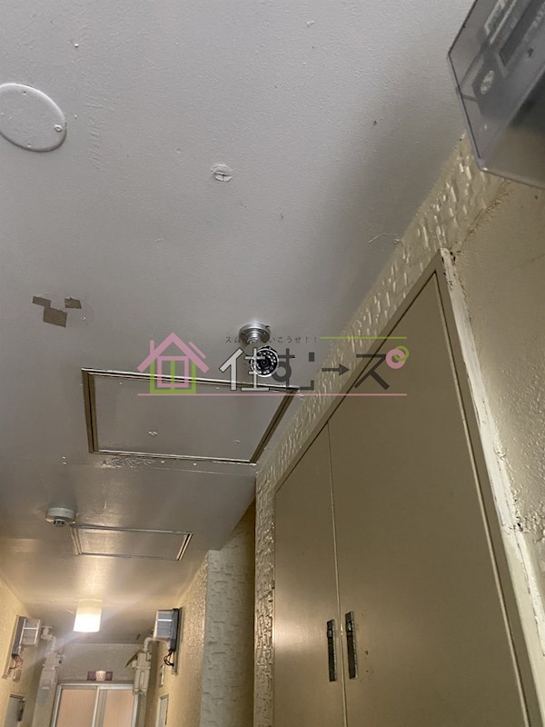 グリーンコーポ山坂 その他外観4