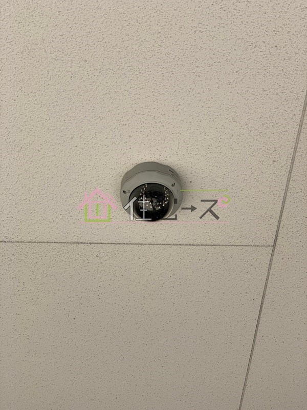 カーサベラ旭 その他外観4
