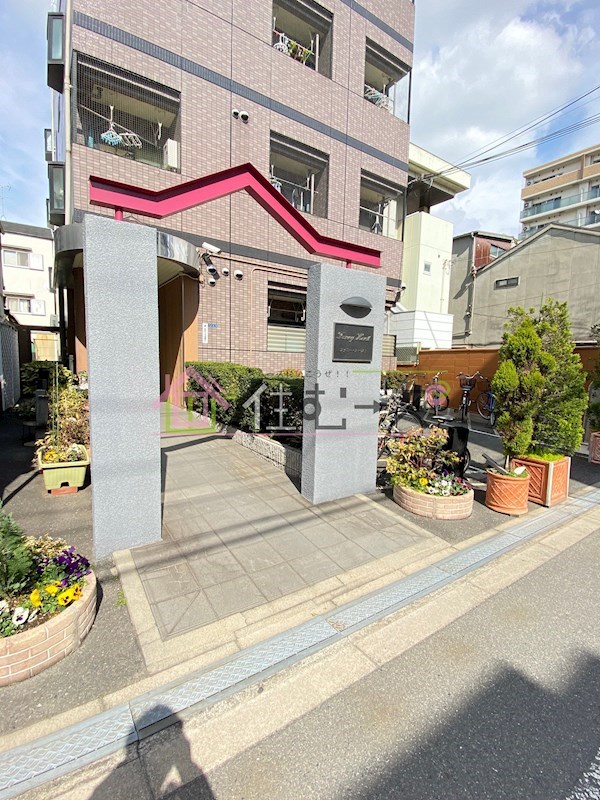 ファニーハースト その他1