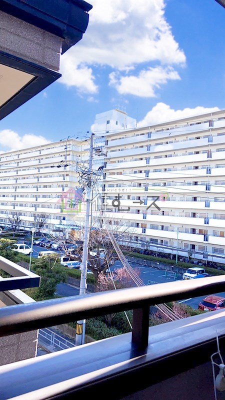 バッカスY&amp;amp;T その他3