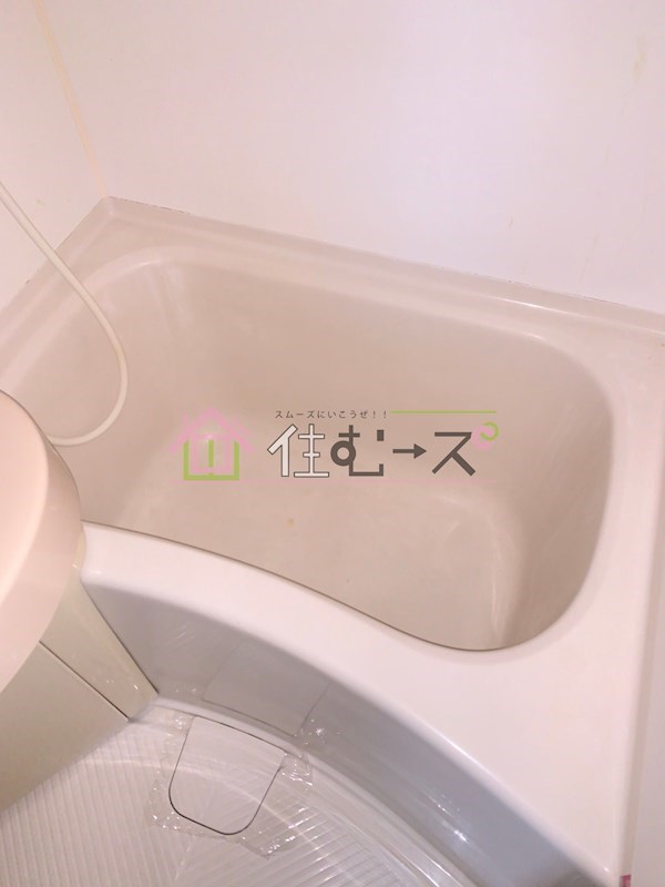 ビクトリーハイムニシミツ 風呂画像