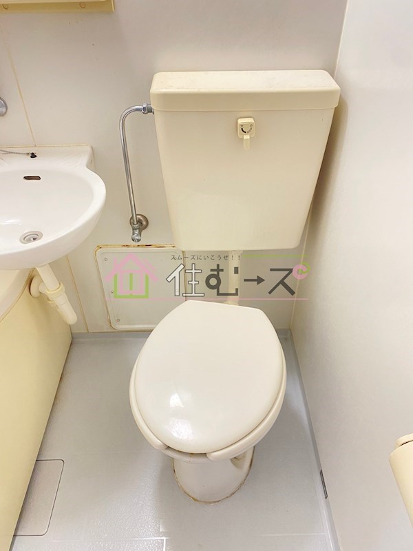 ジュネスアマリ その他2