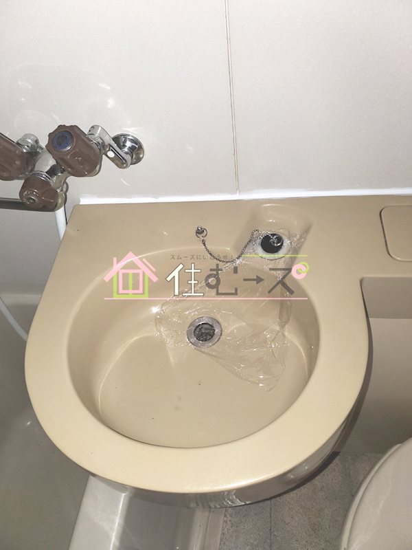 ルネッサンスエリエール その他2