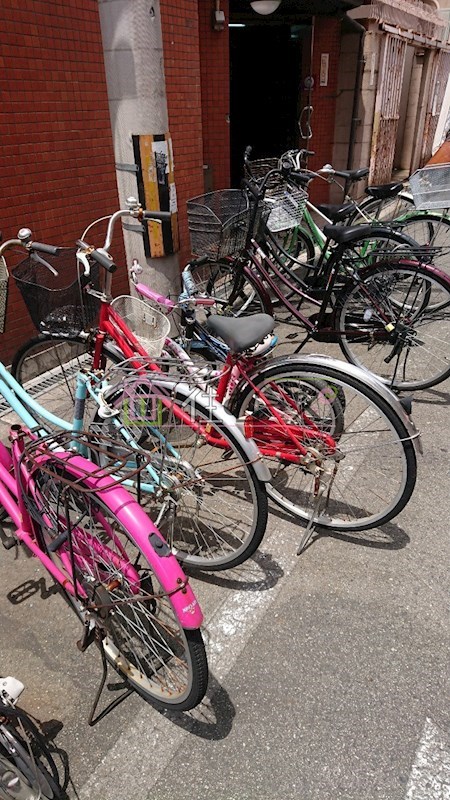 ラパンジール大国Ⅲ  その他外観6