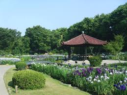 ルベール公園前 周辺画像9