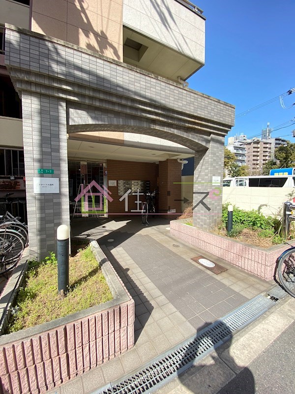 ナオシス大国町 その他1