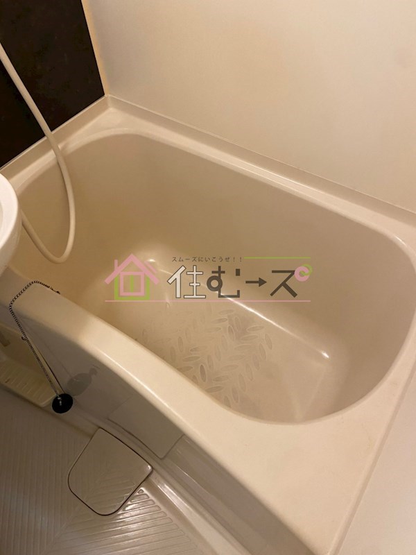 シンセイドルフ 風呂画像