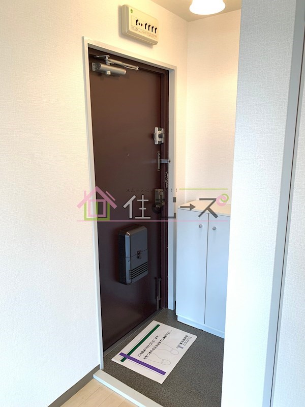 &#12469;&#12470;&#12531;&#12539;&#12532;&#12451;&#12524;&#12483;&#12472;21 &#29572;&#38306;