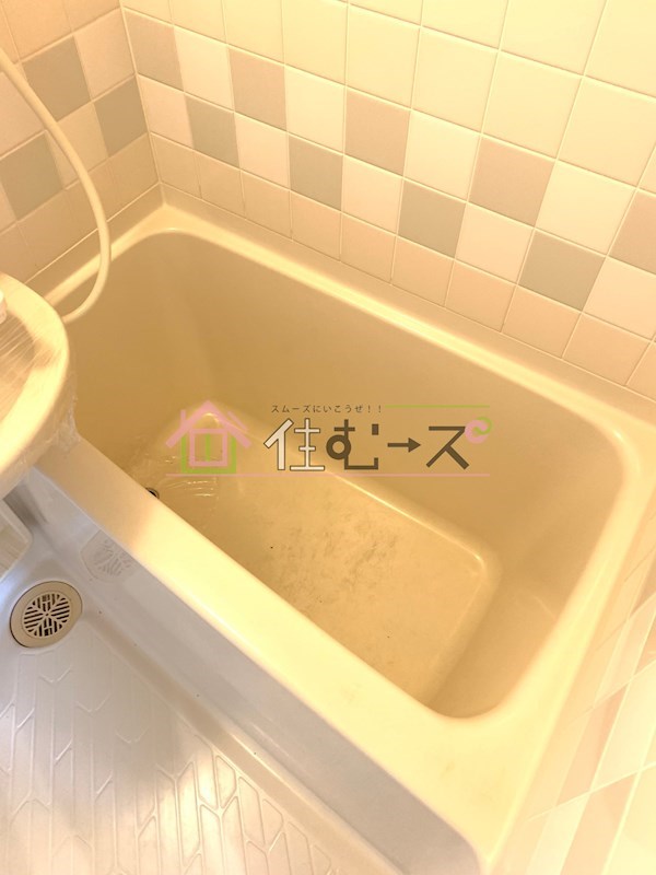 &#12469;&#12470;&#12531;&#12539;&#12532;&#12451;&#12524;&#12483;&#12472;21 &#39080;&#21570;&#30011;&#20687;