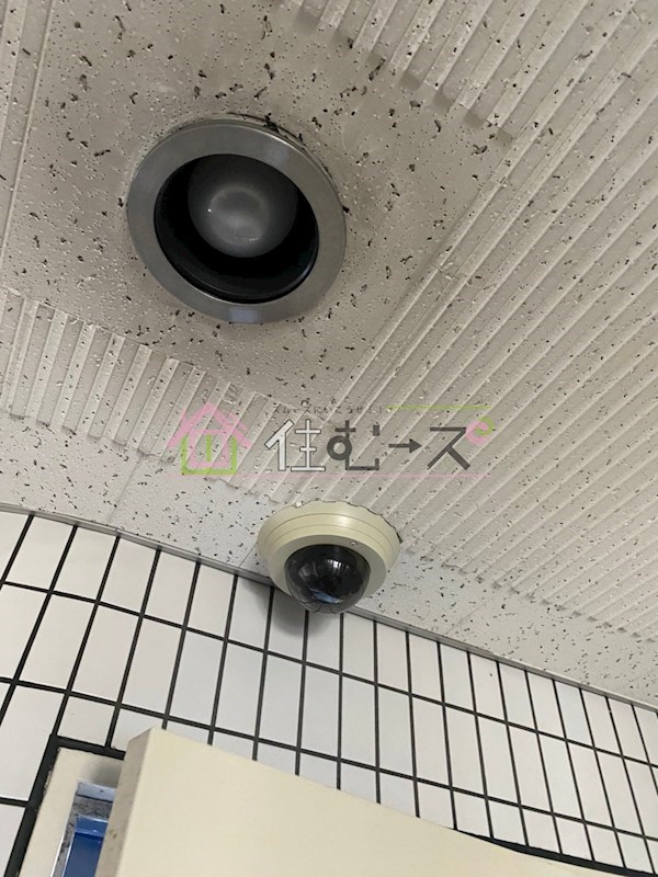 モアメゾンアオイ その他外観5