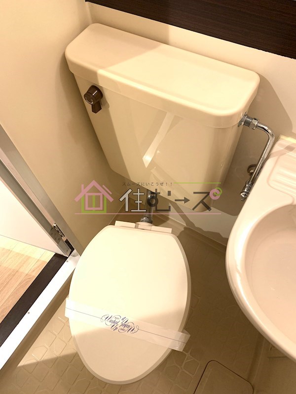 レクシア長柄 その他2