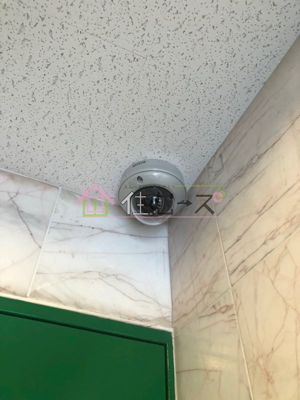 レクシア長柄 その他外観6