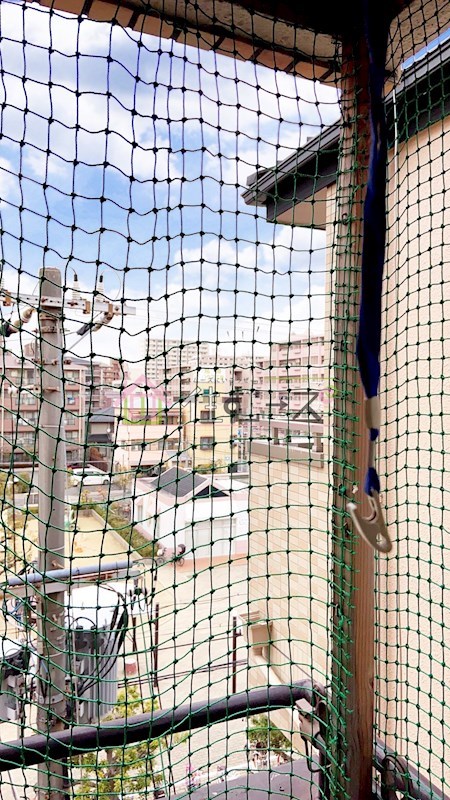 ジュネスシャトー7号館 その他2