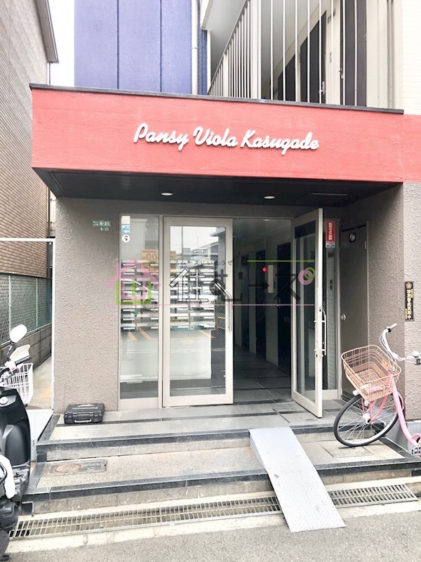 パンジービオラ春日出 その他1