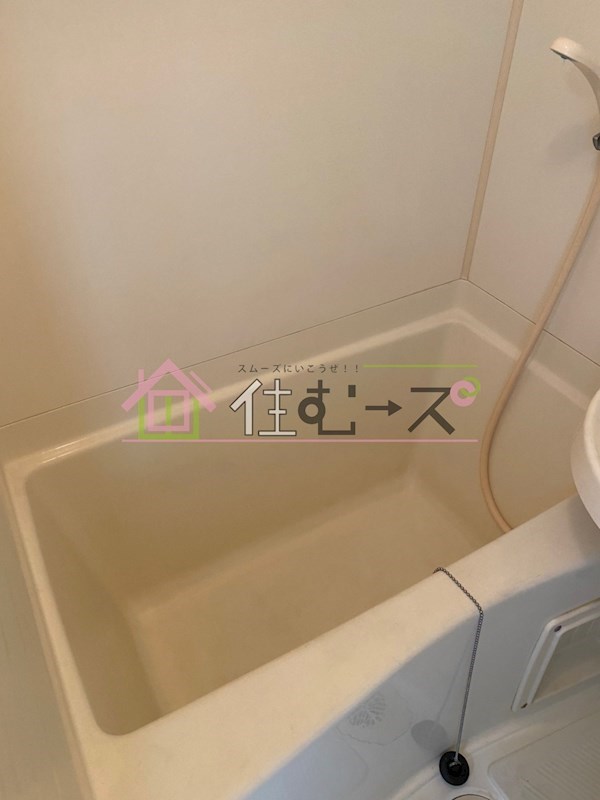 パンジービオラ春日出 風呂画像