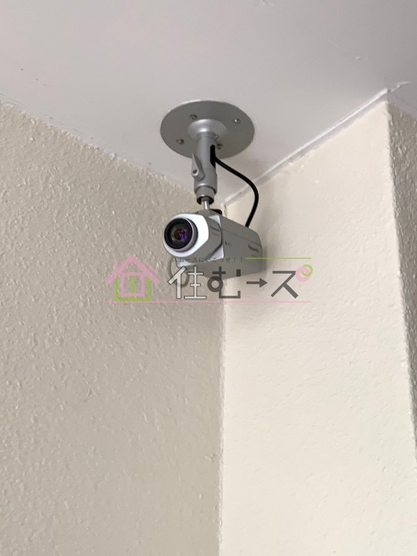 メゾン鳩ヶ瀬 その他外観6