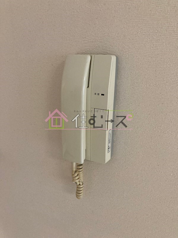 ゼブラ その他3