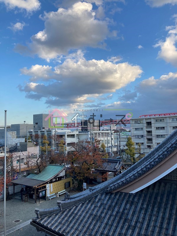 ゼブラ その他4