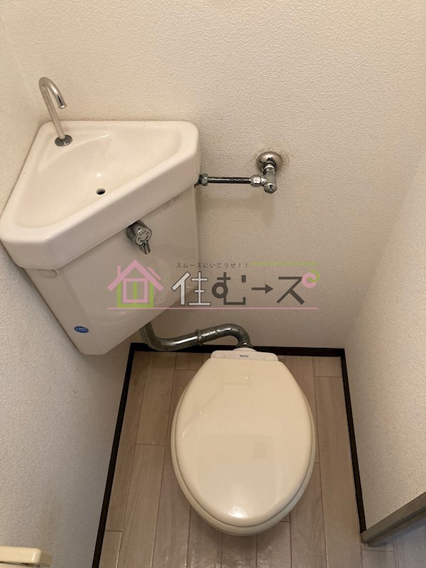 ゼブラ その他6