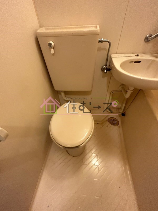 セレスト・パレ その他2