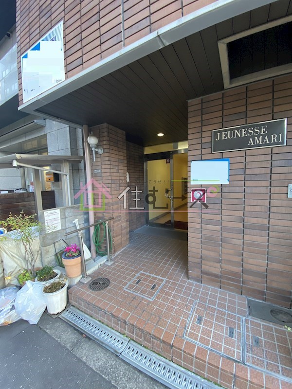 ジュネスアマリ その他1