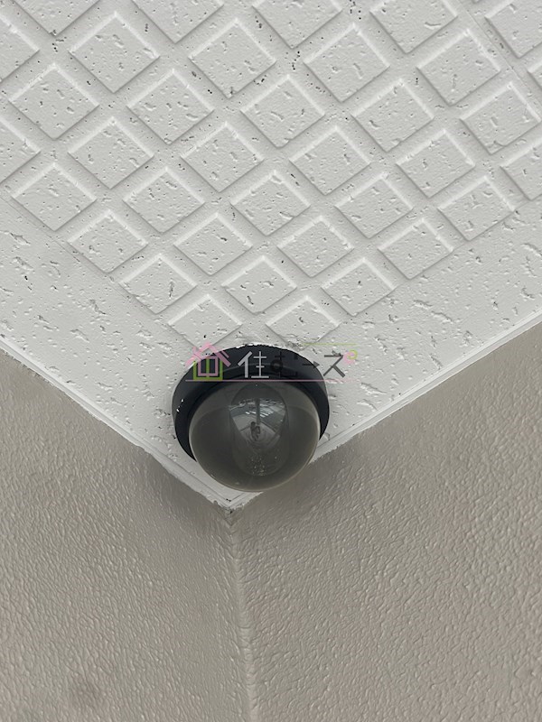 ドエル南本町 その他外観4