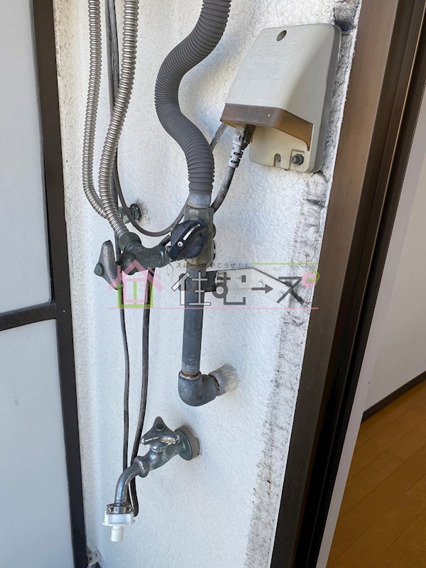 アリーナツムラ その他2